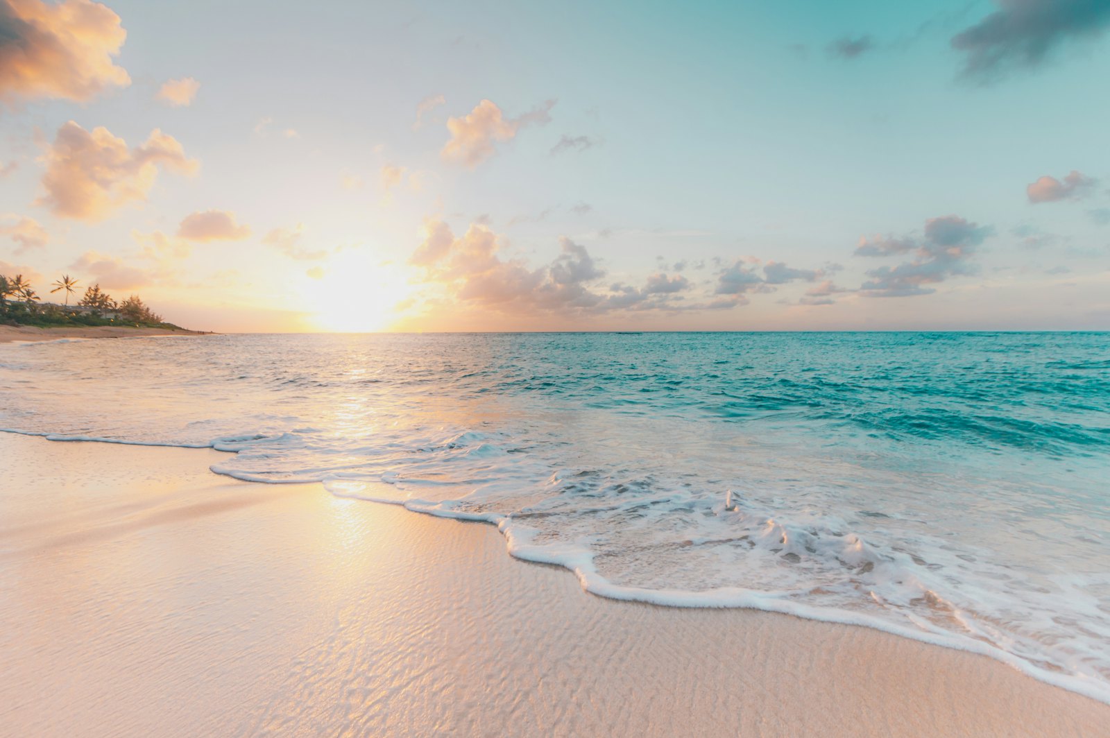 Discover Guanacaste